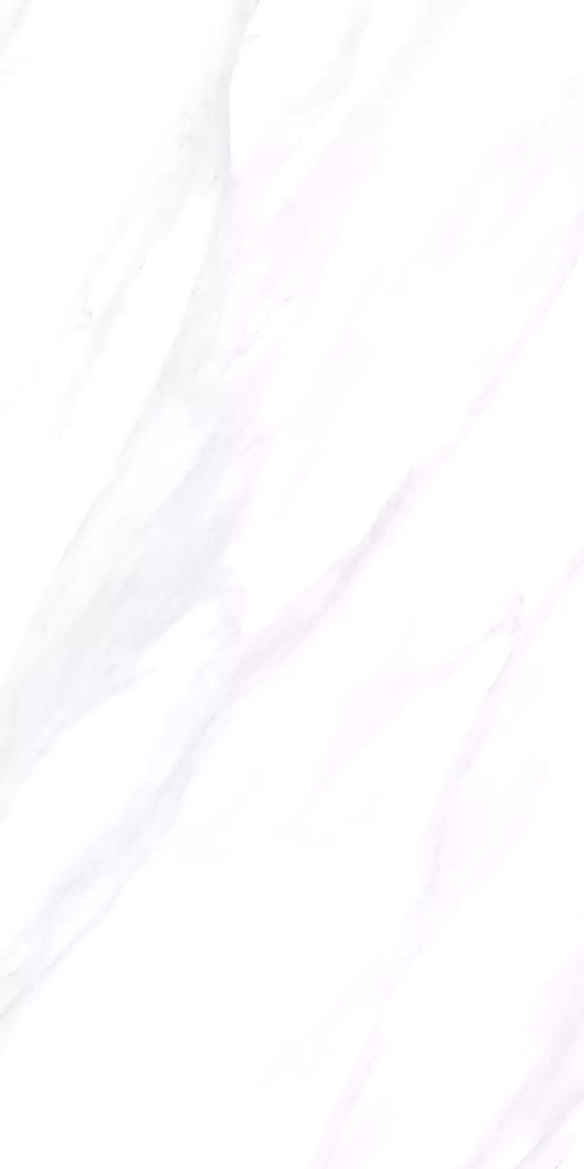 Light Gris