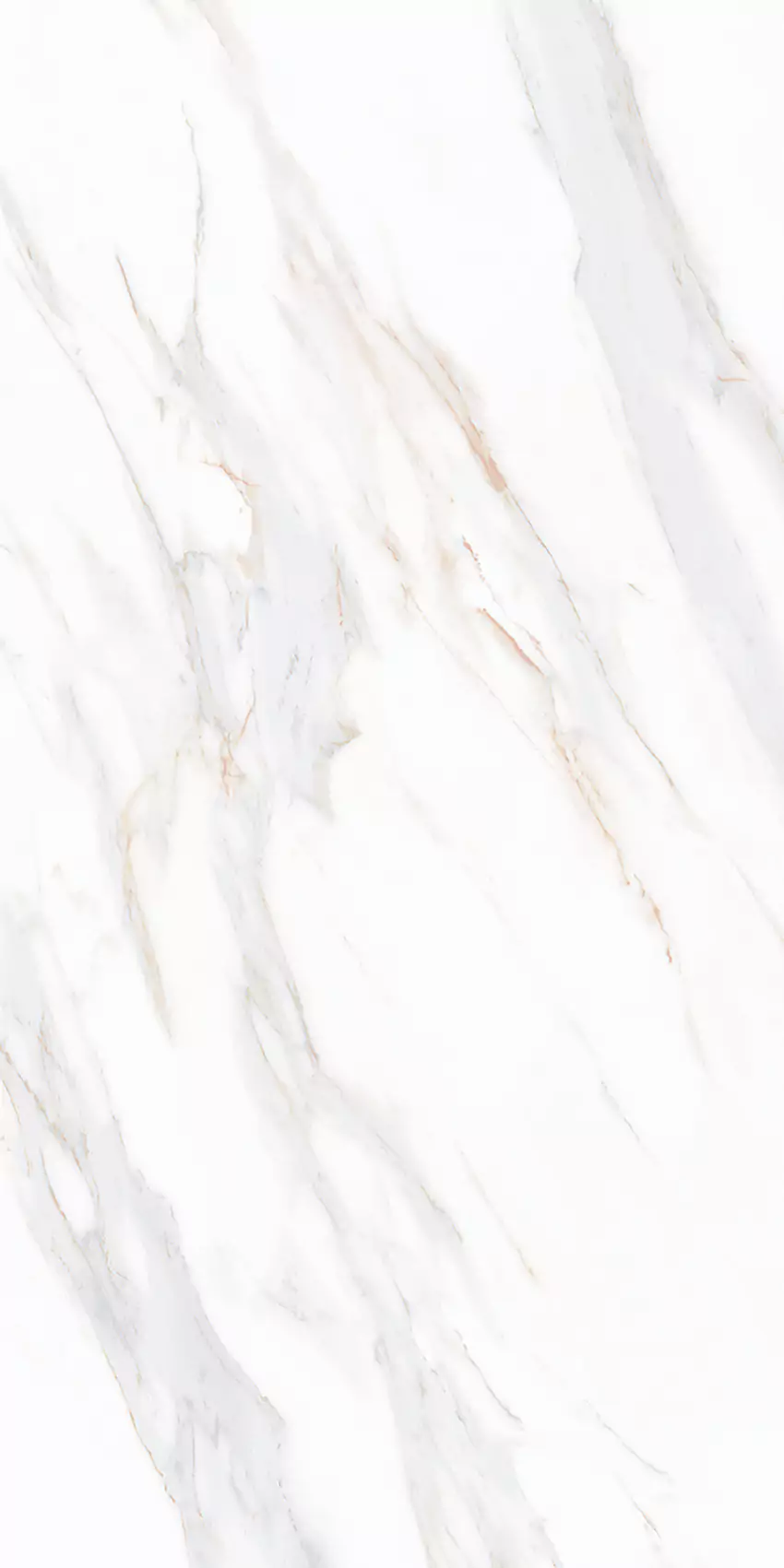 AQUILA
