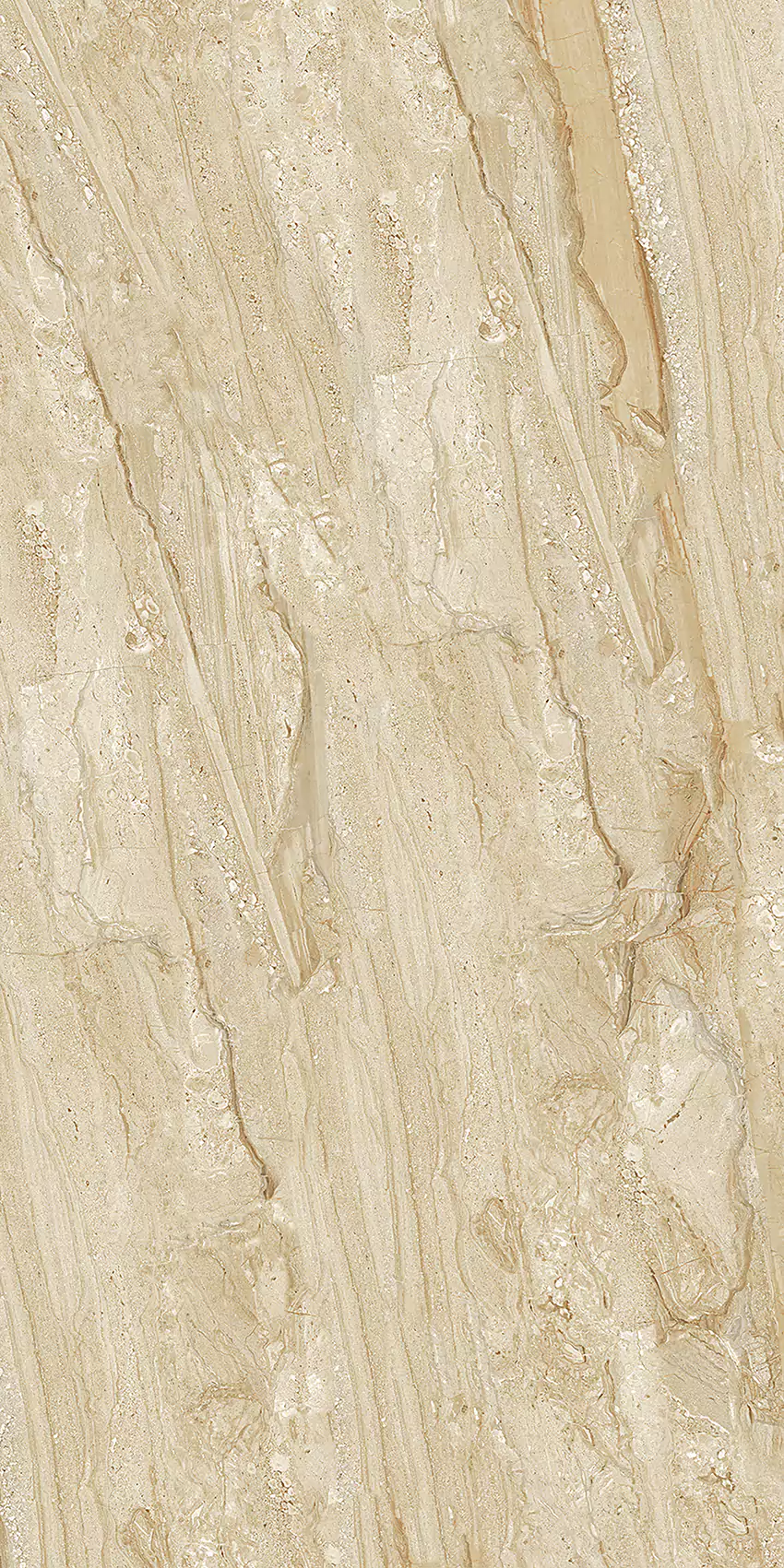 Medium Beige