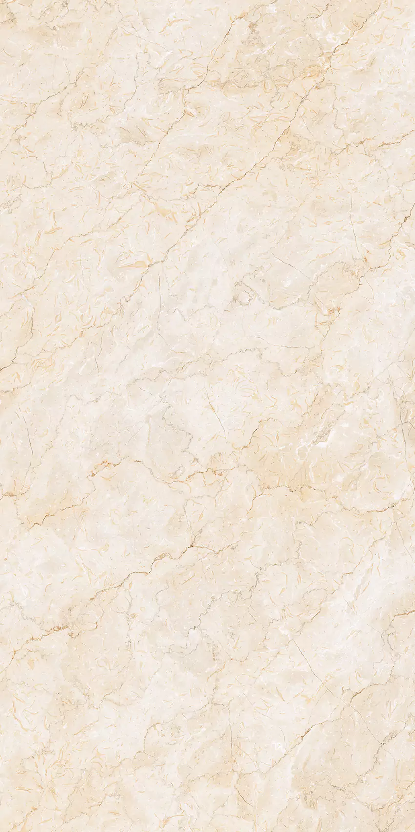 Medium Beige