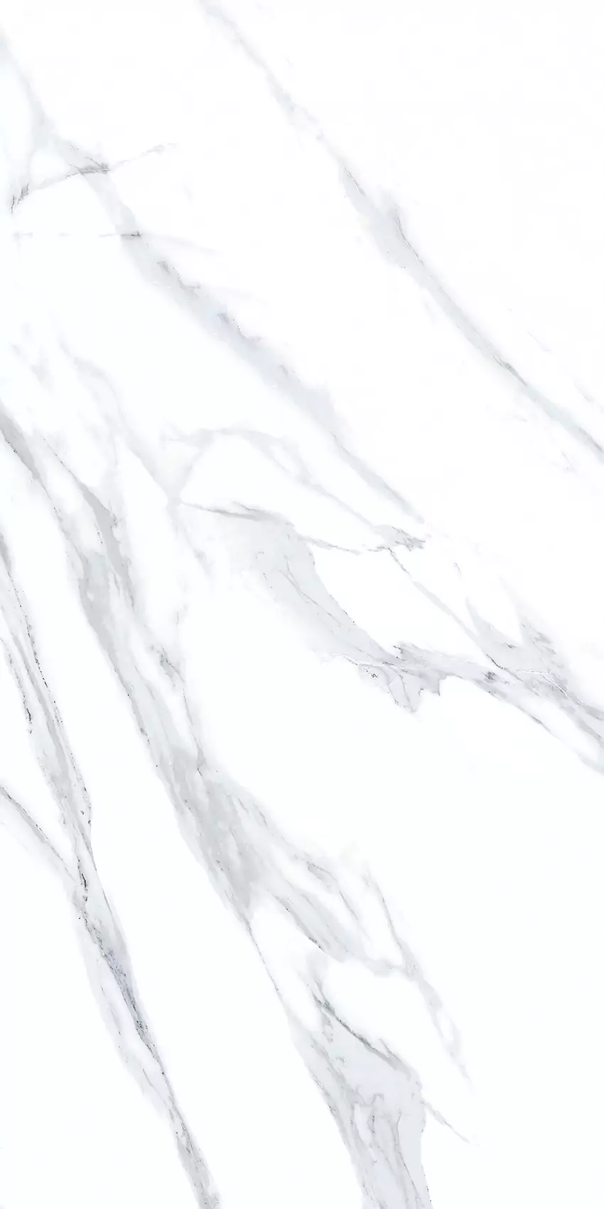 Light Gris