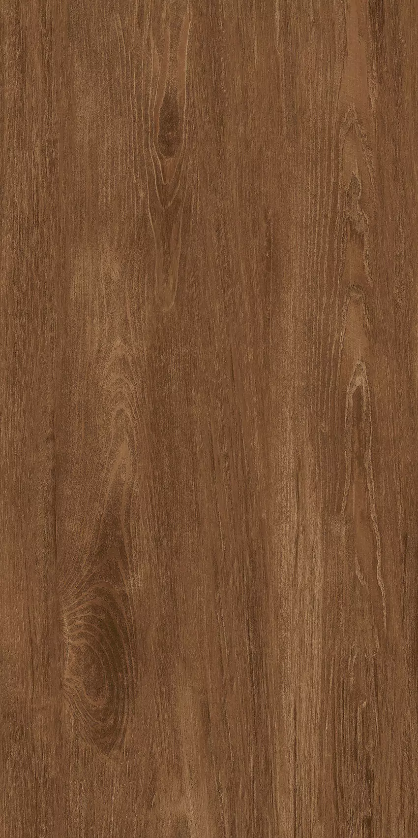 Medium Beige