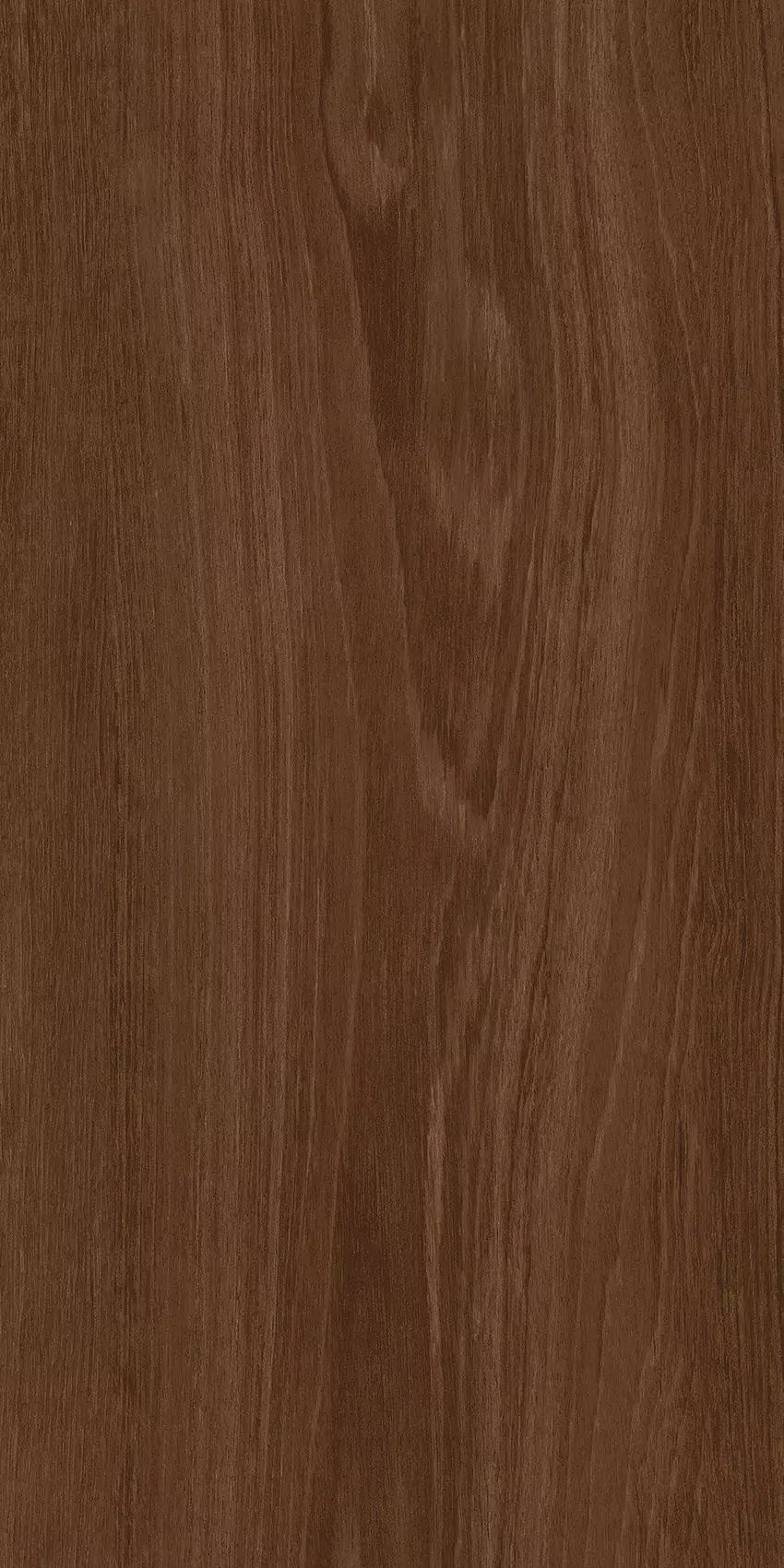 Medium Brown