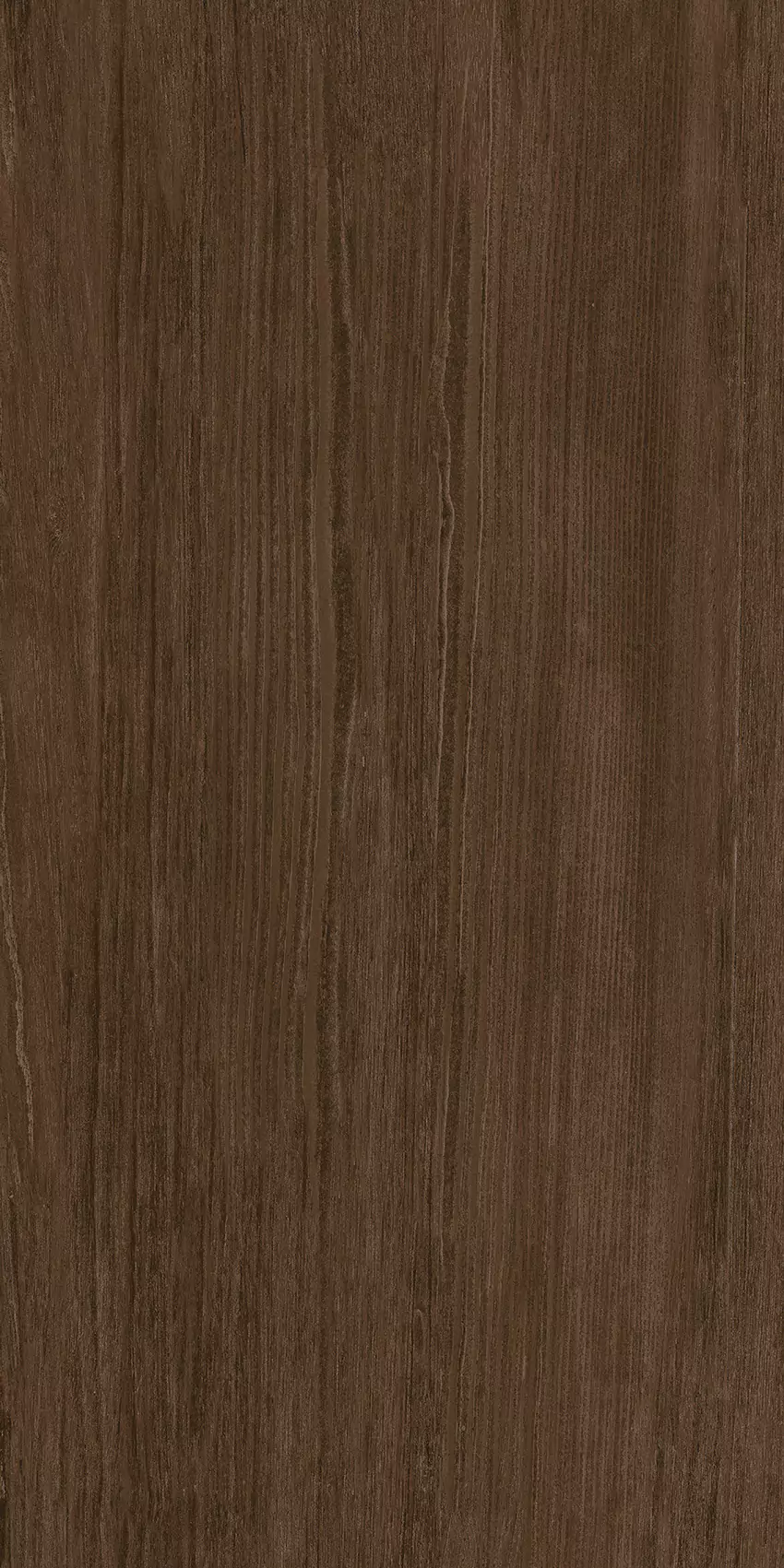 Medium Coco