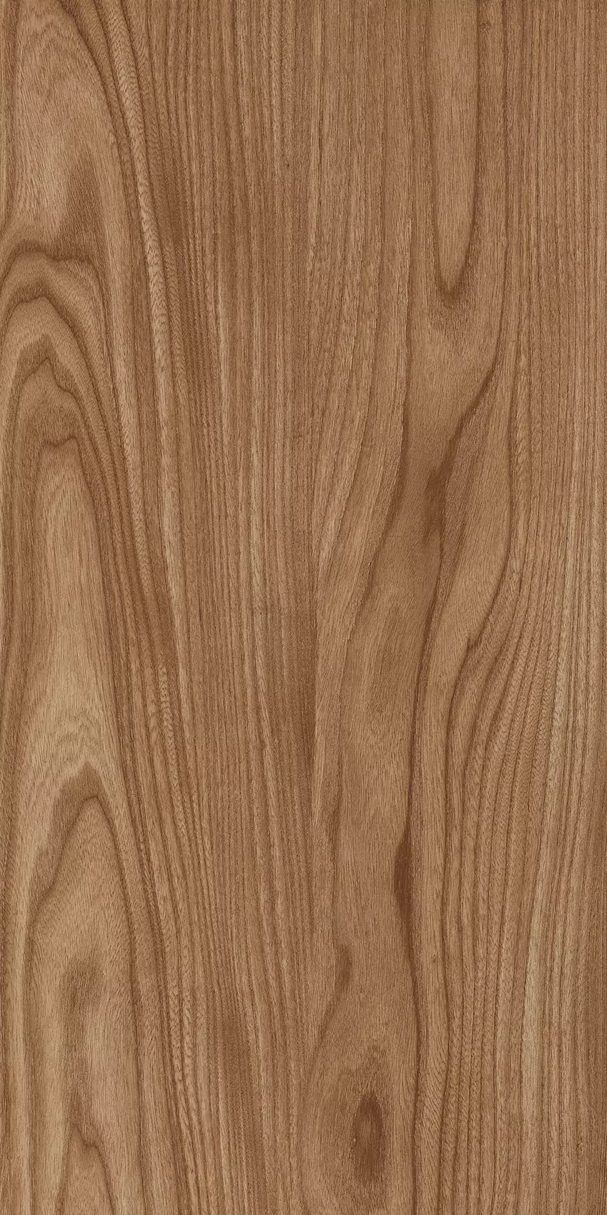 Medium Beige