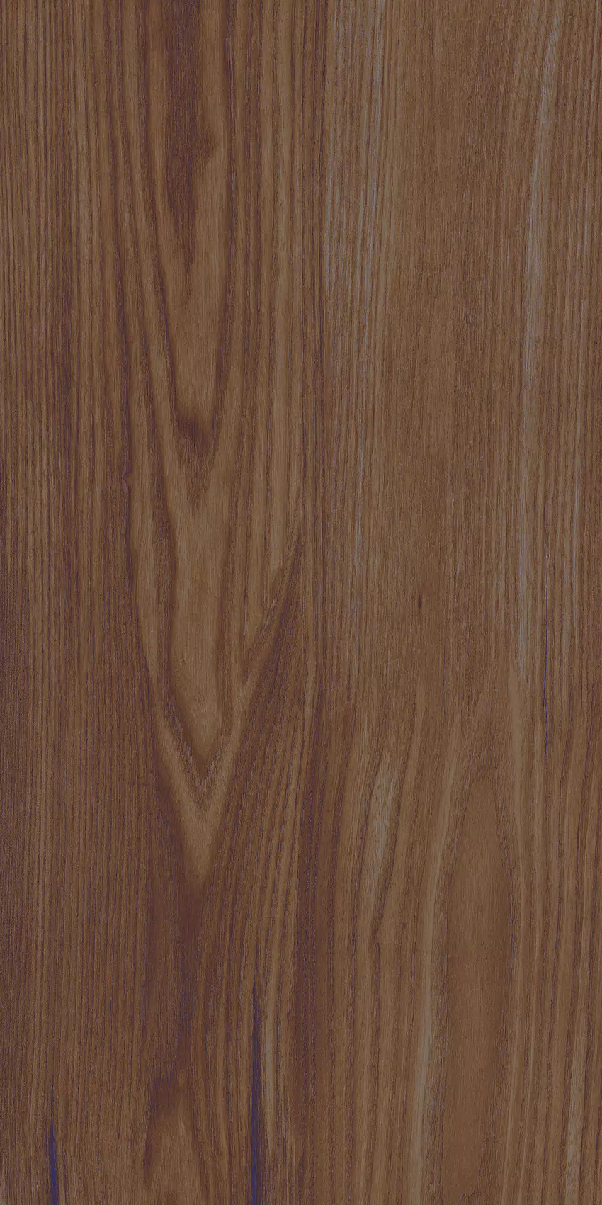 Medium Brown
