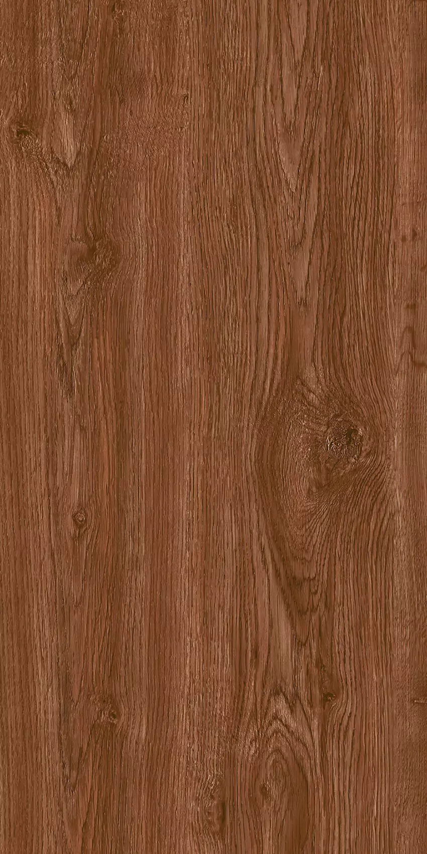 Medium Beige