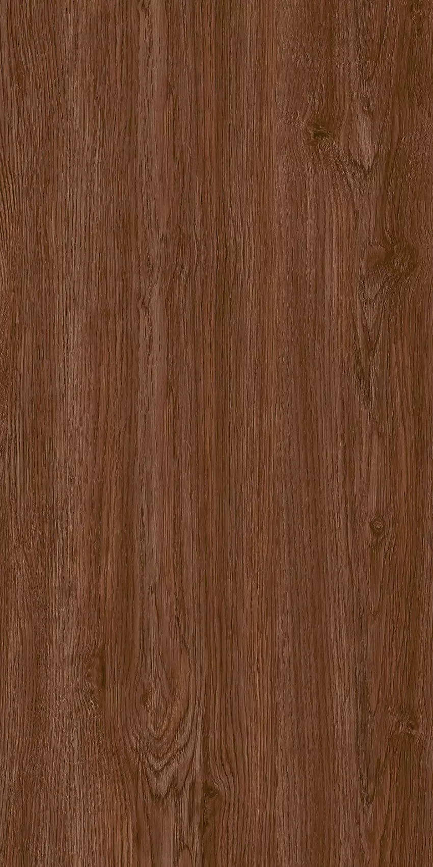 Medium Brown