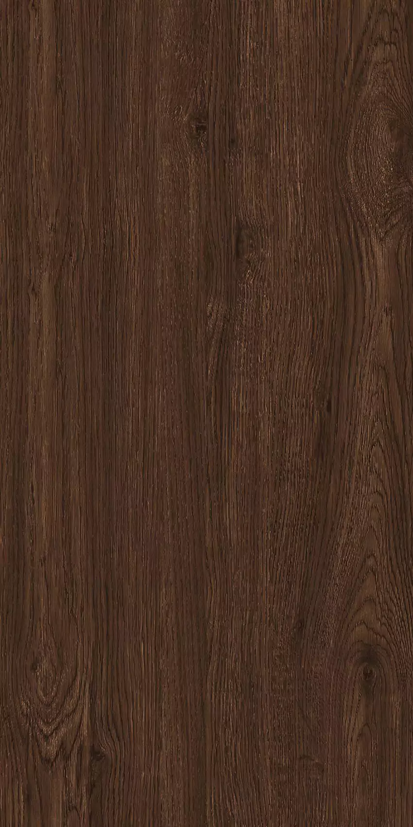 Medium Coco