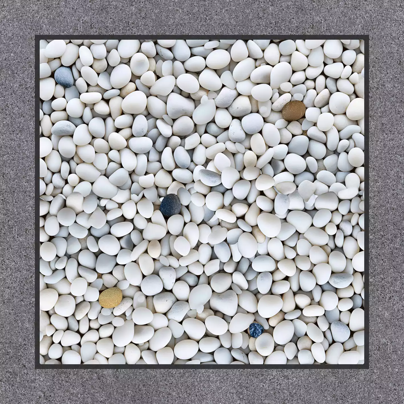 Light Gris