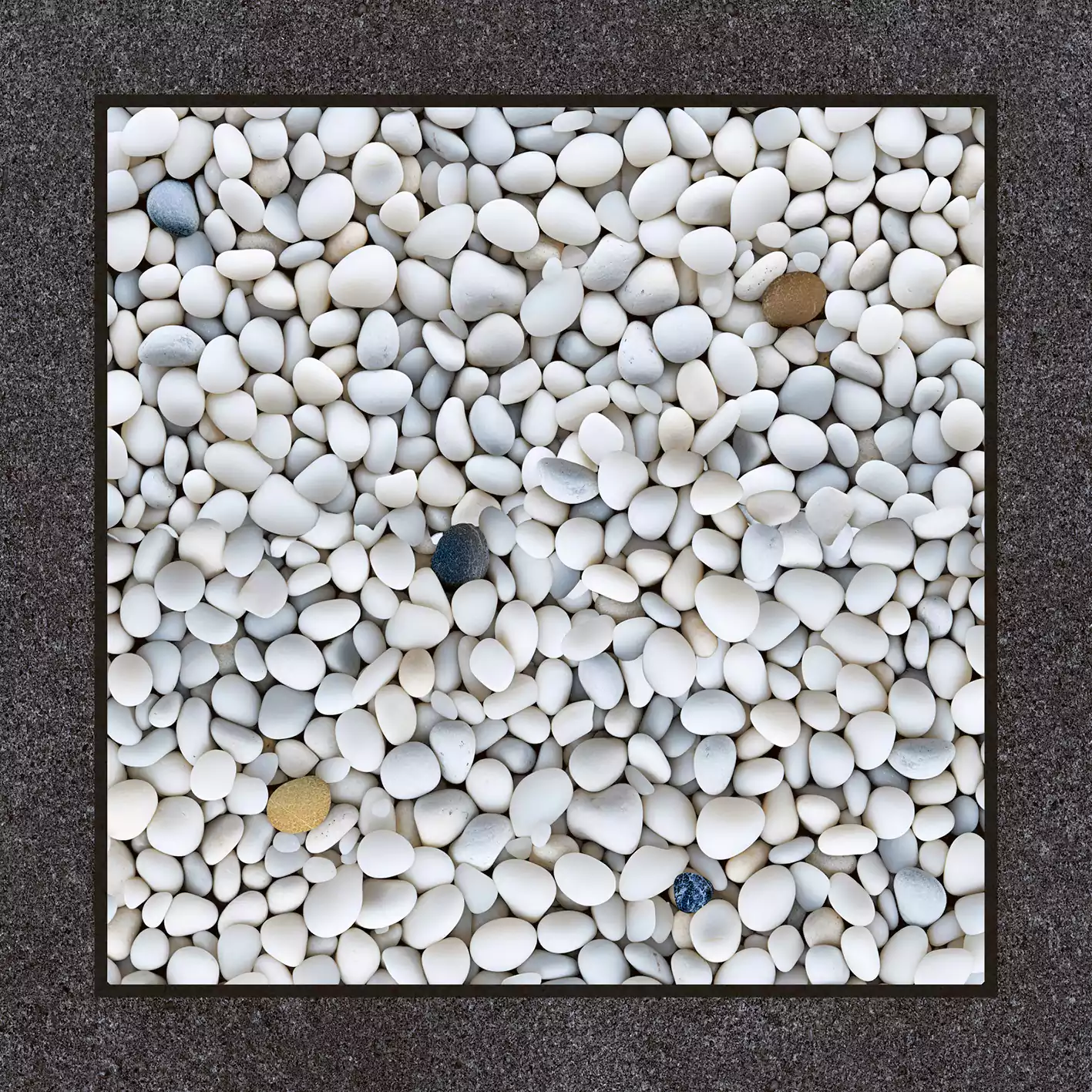 Medium Gris