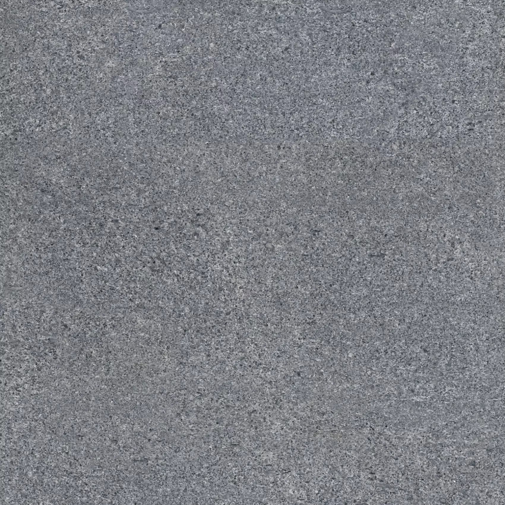 Light Gris